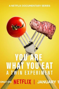 Poster You Are What You Eat: A Twin Experiment (2024)