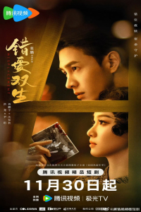 Poster Misplacement (2024)