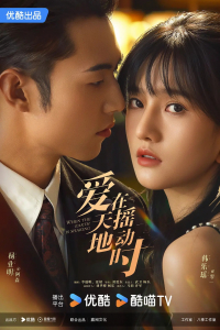 Poster Undercover Affair (2024)