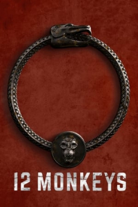 Poster 12 Monkeys (2015)