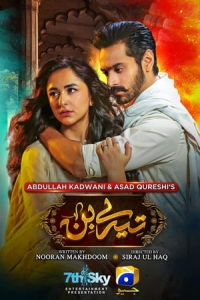 Poster Tere Bin (2022)