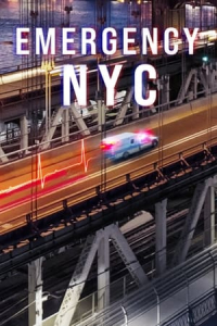 Poster Emergency NYC (2023)