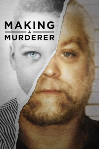 Poster Making a Murderer (2015)