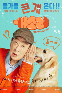 Poster Dog Knows Everything aka Gaesori (2024)