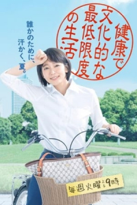Poster Caseworker’s Diary (2018)