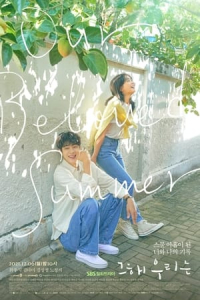 Poster Our Beloved Summer (Geu Hae Urineun) (2021)