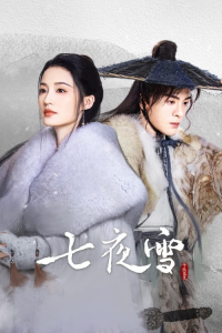 Poster Snowy Night – Timeless Love (2024)