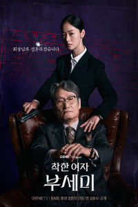 Poster Ms. Incognito (2025)