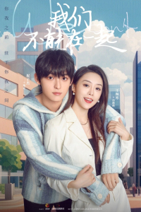 Poster The Love We Couldn’t Keep (2024)