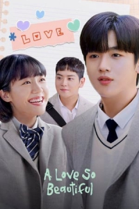 Poster A Love So Beautiful (2021)