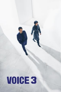 Poster Voice (Boiseu) (2020)