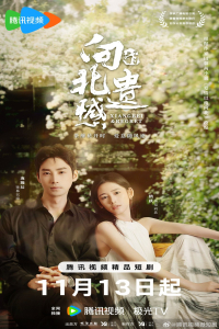 Poster Xiangbei Regret (2024)
