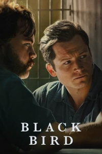 Poster Black Bird (2022)