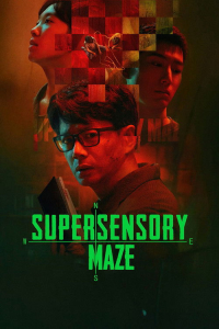 Poster Supersensory Maze (2025)