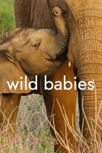 Poster Wild Babies (2022)