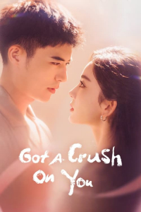 Poster Got a Crush on You (2023)