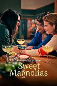 Poster Sweet Magnolias (2020)