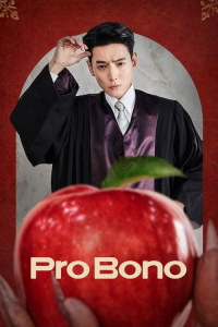 Poster Pro Bono (2025)