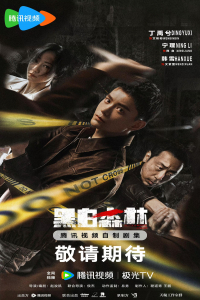 Poster Black & White Forest (2024)