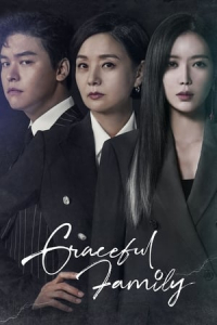 Poster Graceful Family (Wooahan Ga) (2019)