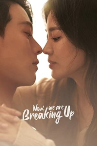 Poster Now, We Are Breaking Up (Jigeum, Heeojineun Jungibnida) (2021)