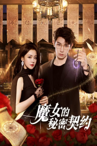 Poster The Secret Contract of the Witch (2025)