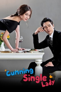 Poster Cunning Single Lady (2014)