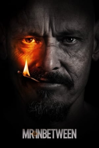 Poster Mr Inbetween (2018)