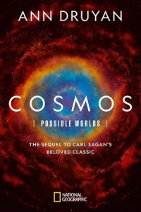 Poster Cosmos: Possible Worlds (2020)