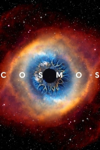 Poster Cosmos: A Spacetime Odyssey (2014)