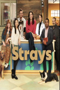 Poster Strays (2021)