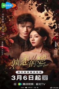 Poster Wild Rose (2025)