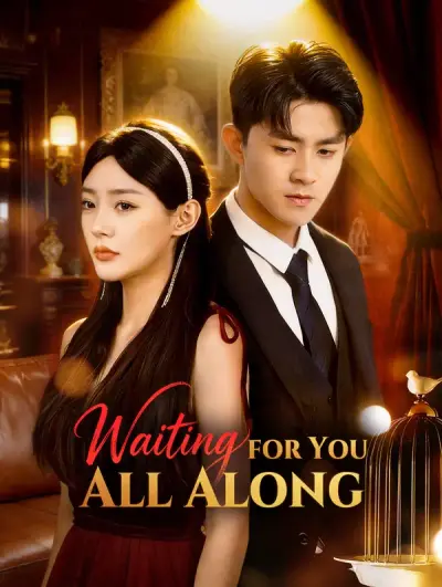 Poster Waiting for You All Along