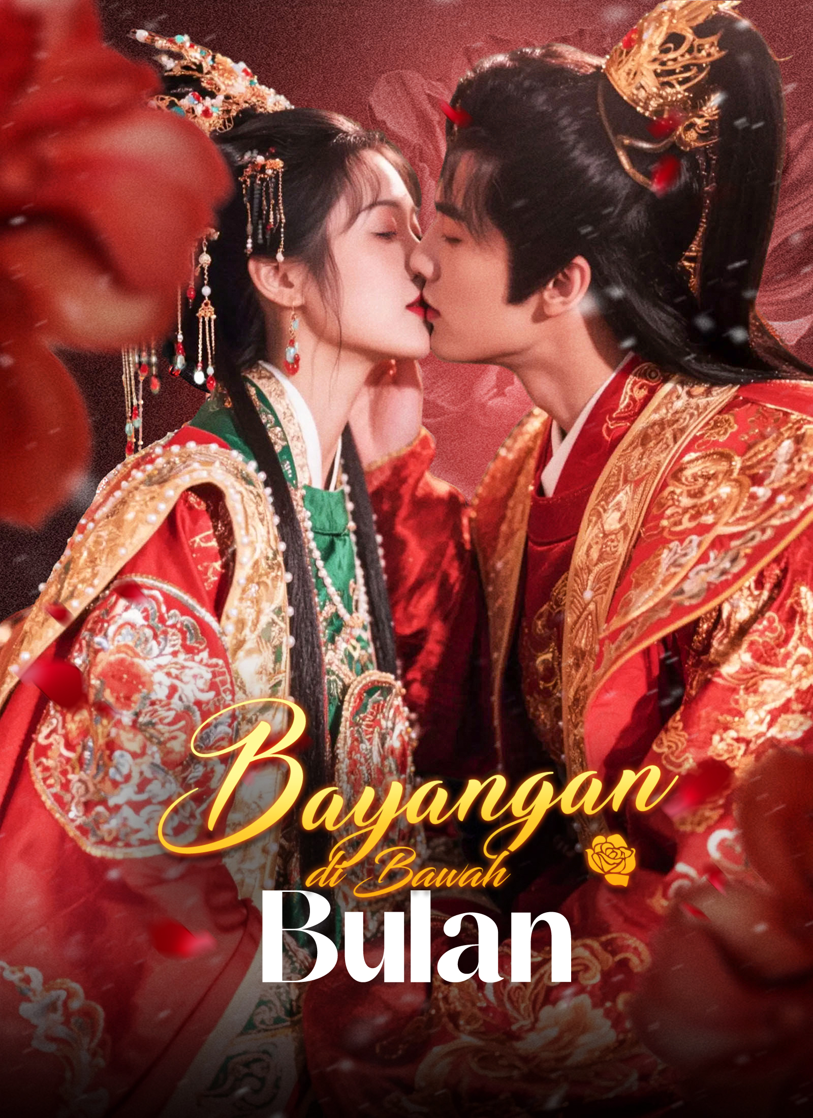 Misteri Bayangan di Bawah Bulan!