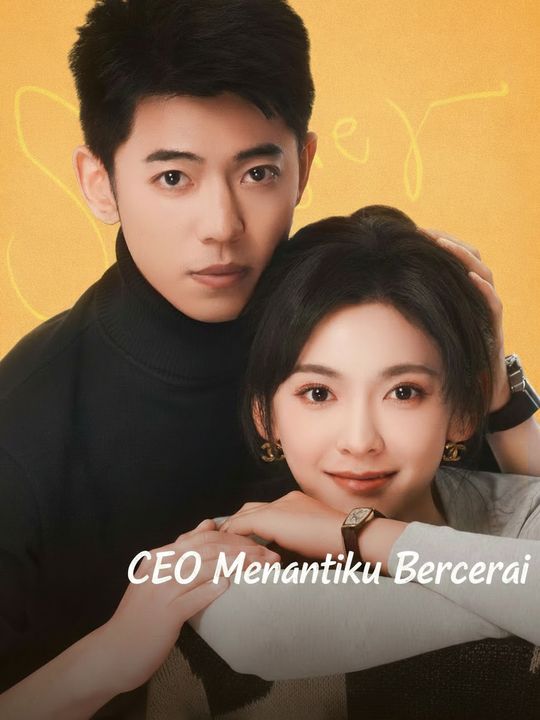 CEO Menantiku Bercerai