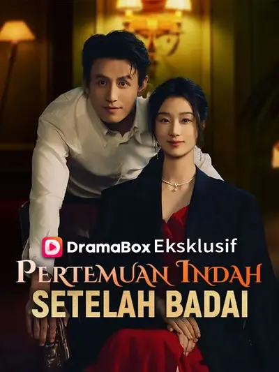 Pertemuan Indah Setelah Badai (Sulih Suara)